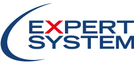 Logo Expert System website